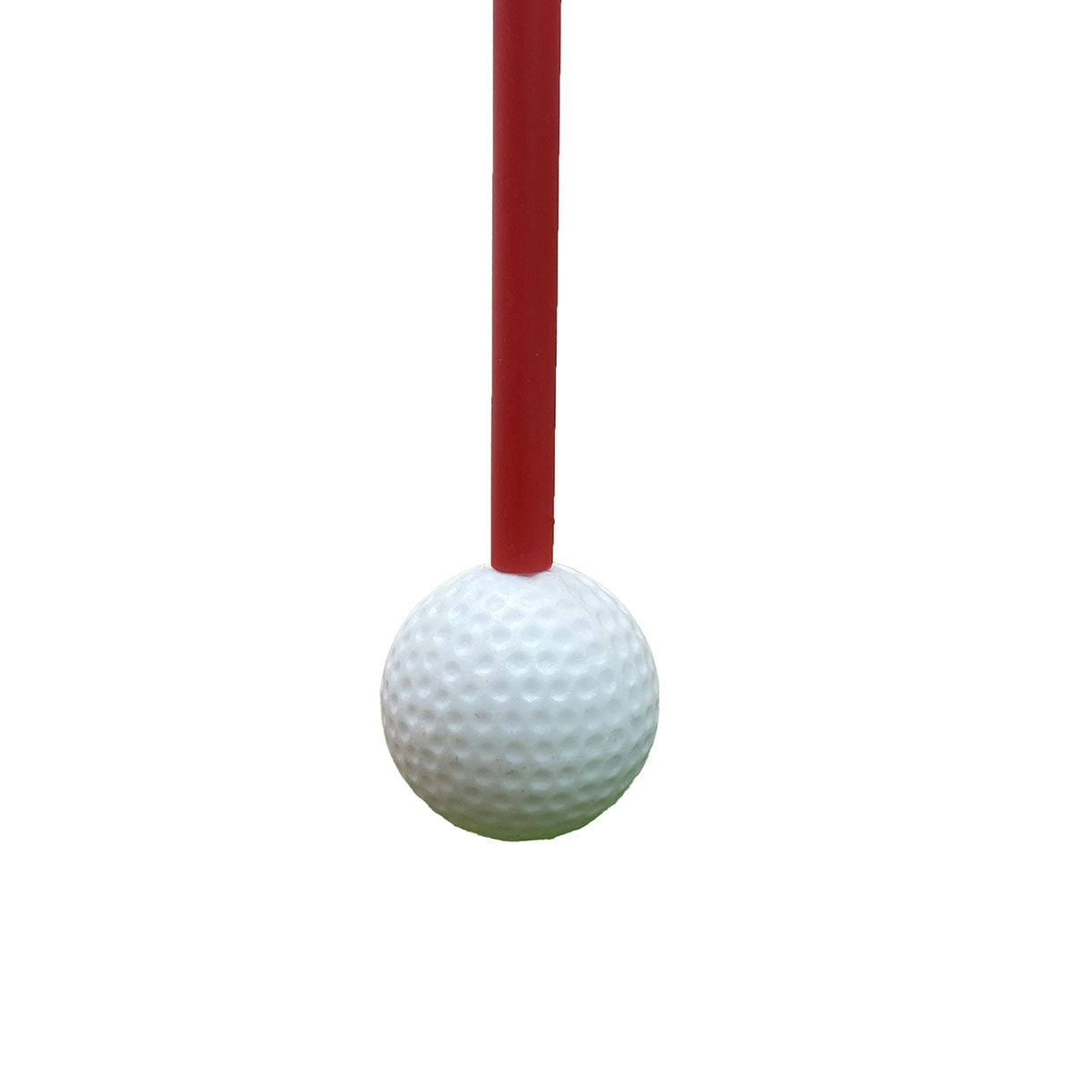 Golf Swing and Hitting Trainer