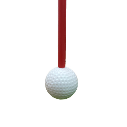 Golf Swing and Hitting Trainer