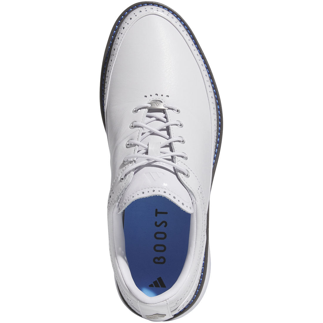 Adidas MC80 Golf Shoes Dash Grey/Matte Silver/Blue Burst